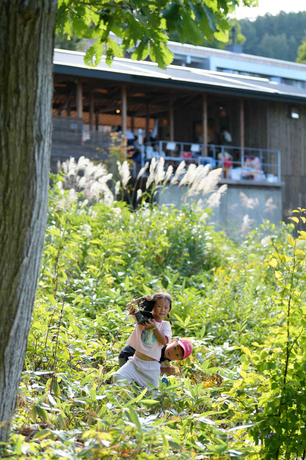 ポップンパーティーツアー第2弾山郷の森であそぼう